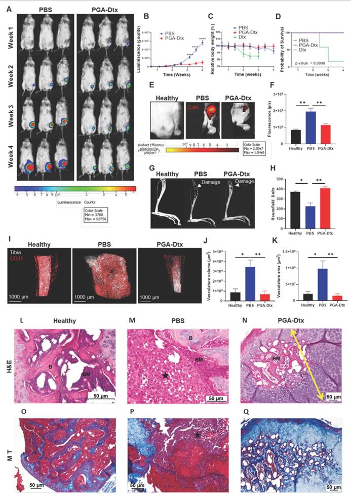 Theranostics Image