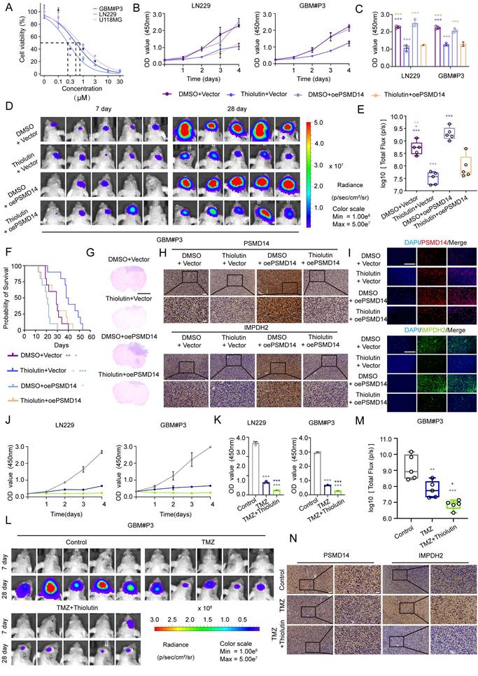 Theranostics Image