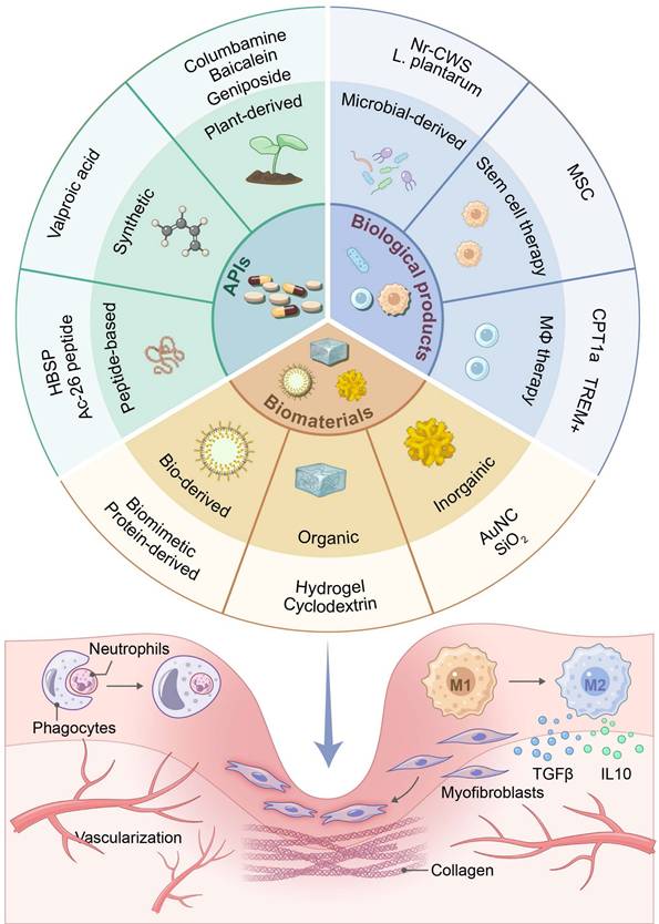 Theranostics Image
