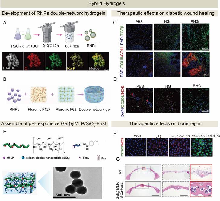 Theranostics Image