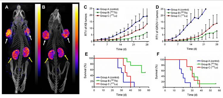Theranostics Image