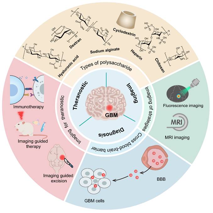 Theranostics Image