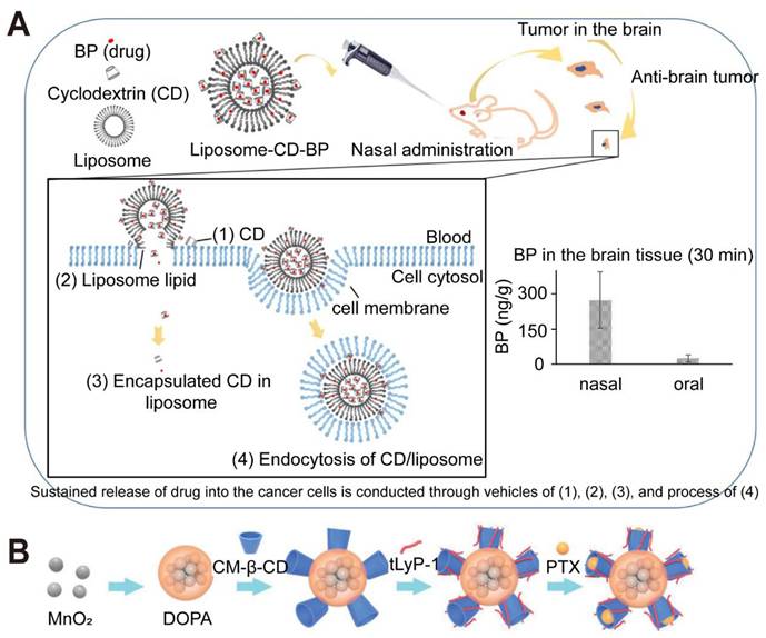 Theranostics Image