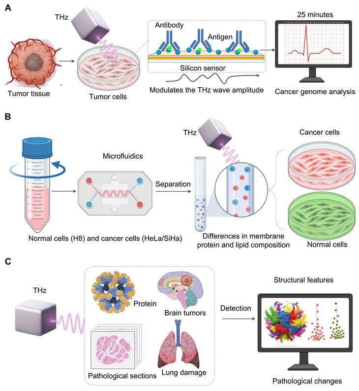 Theranostics Image
