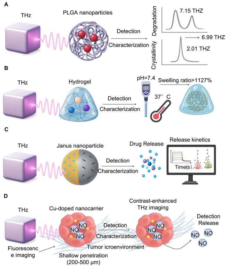 Theranostics Image