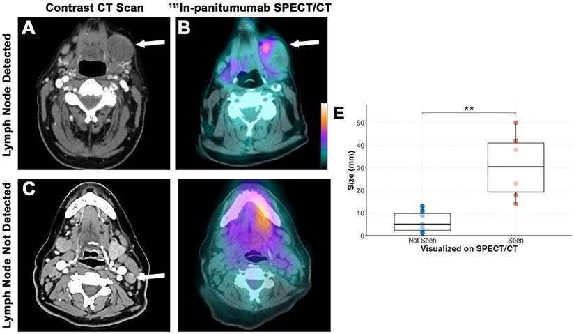 Theranostics Image