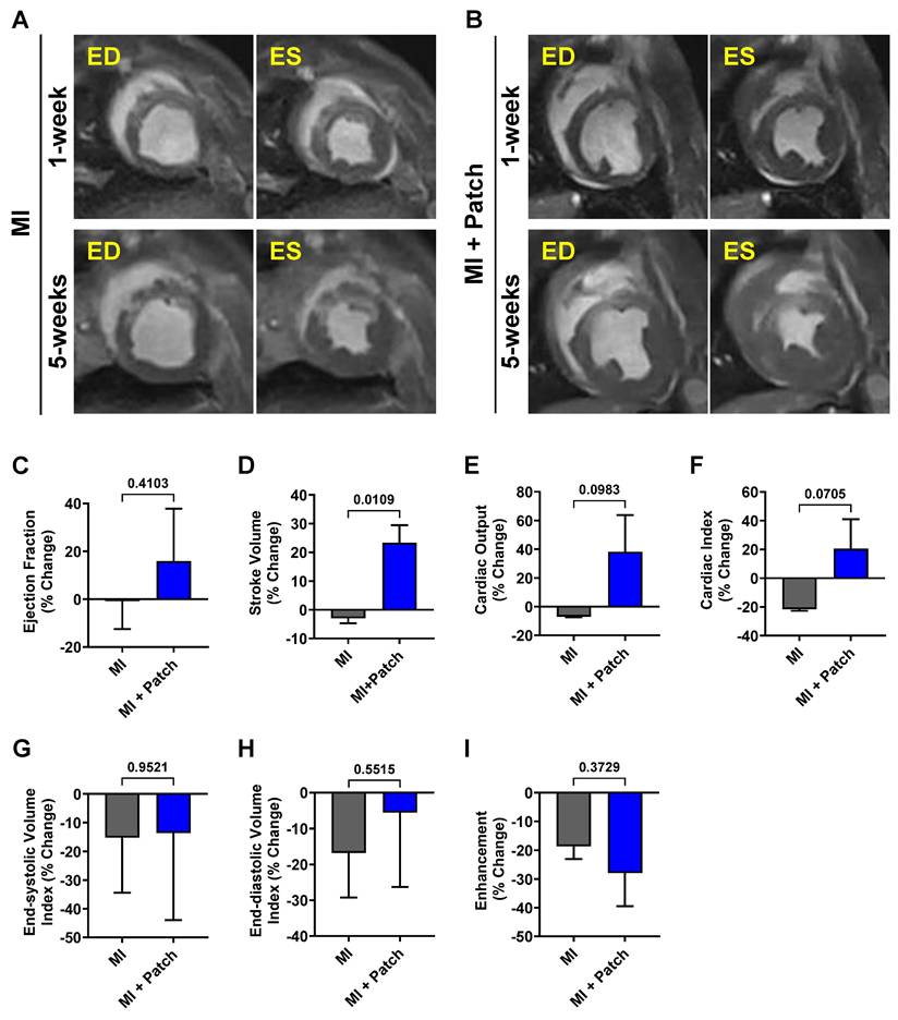 Theranostics Image