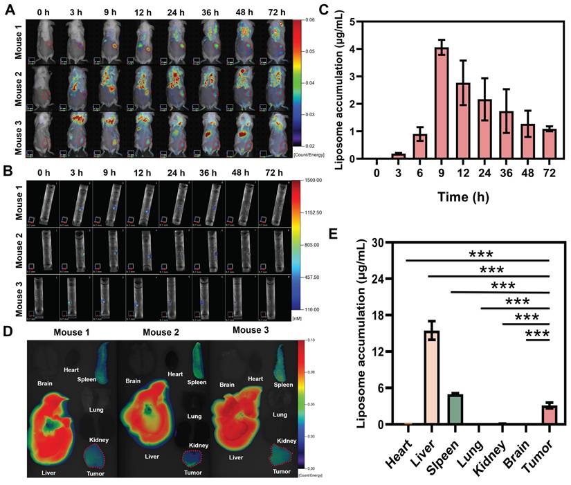 Theranostics Image