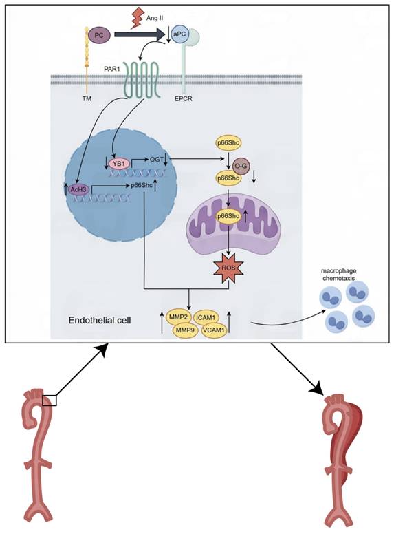 Theranostics Image