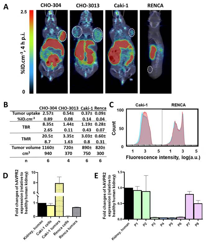 Theranostics Image