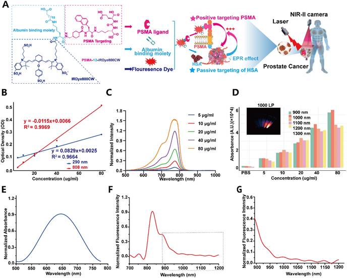 Theranostics Image