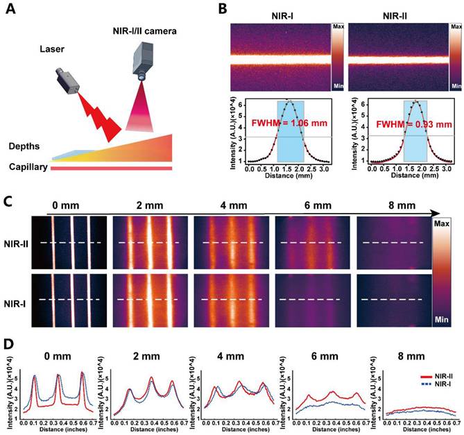 Theranostics Image