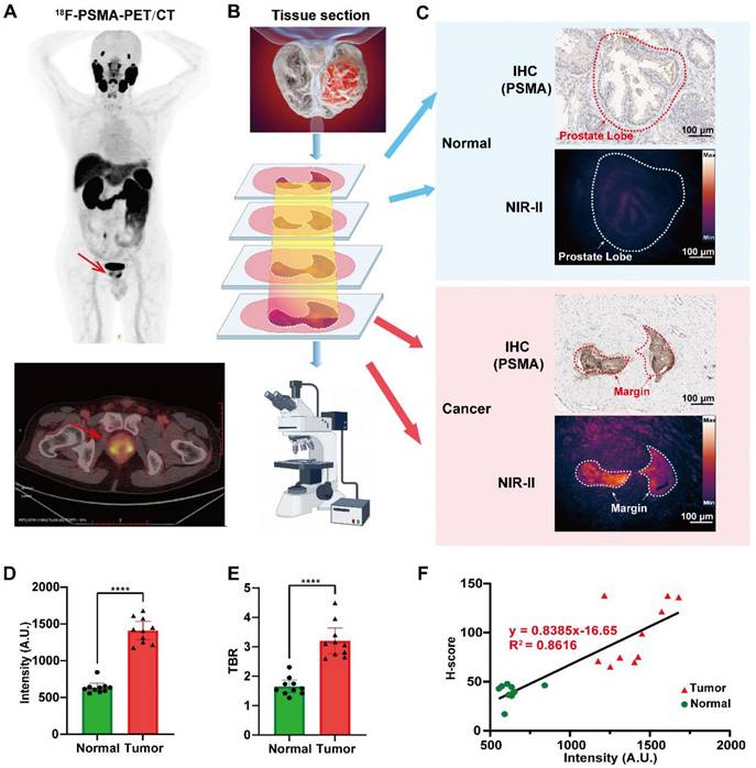 Theranostics Image