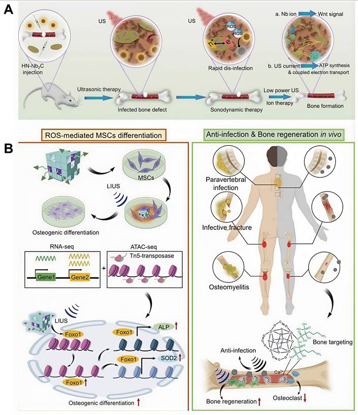 Theranostics Image
