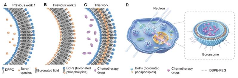 Theranostics Image