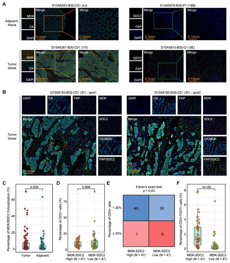 Theranostics Image