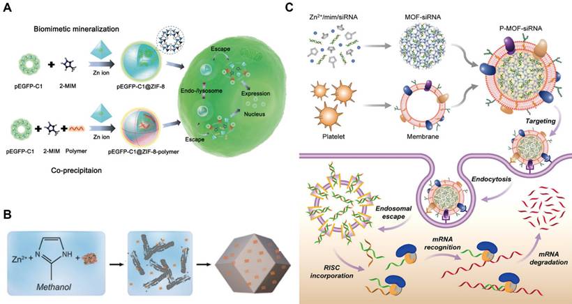 Theranostics Image
