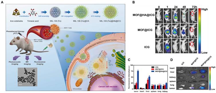 Theranostics Image