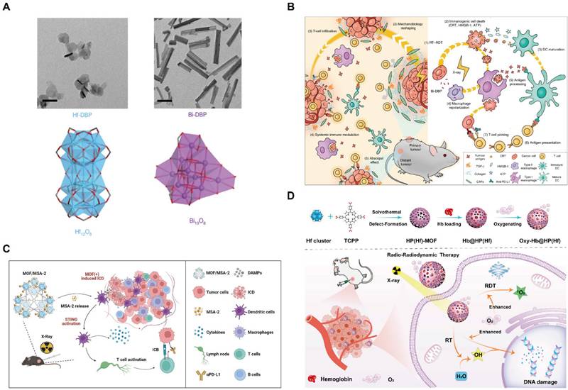 Theranostics Image