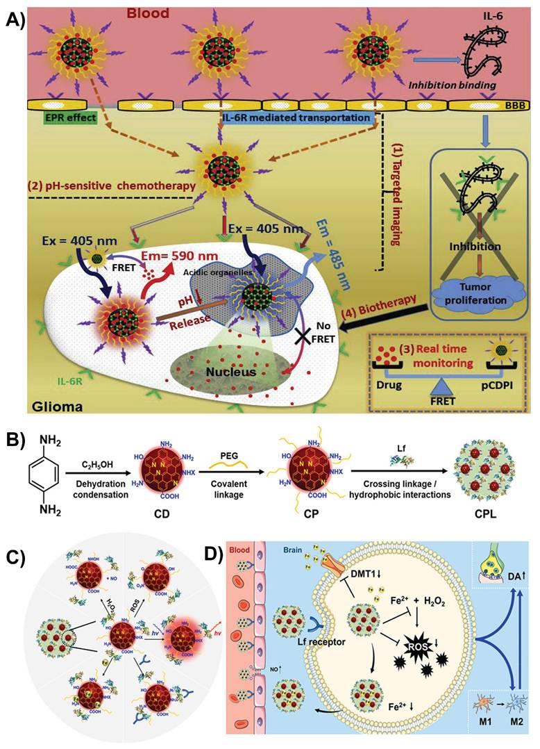 Theranostics Image
