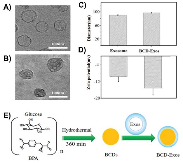 Theranostics Image