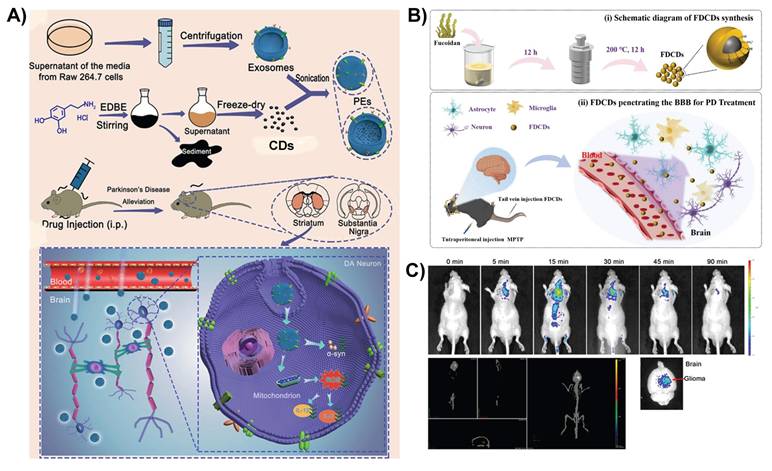 Theranostics Image