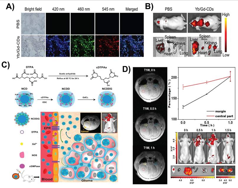 Theranostics Image
