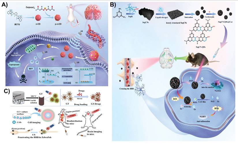 Theranostics Image