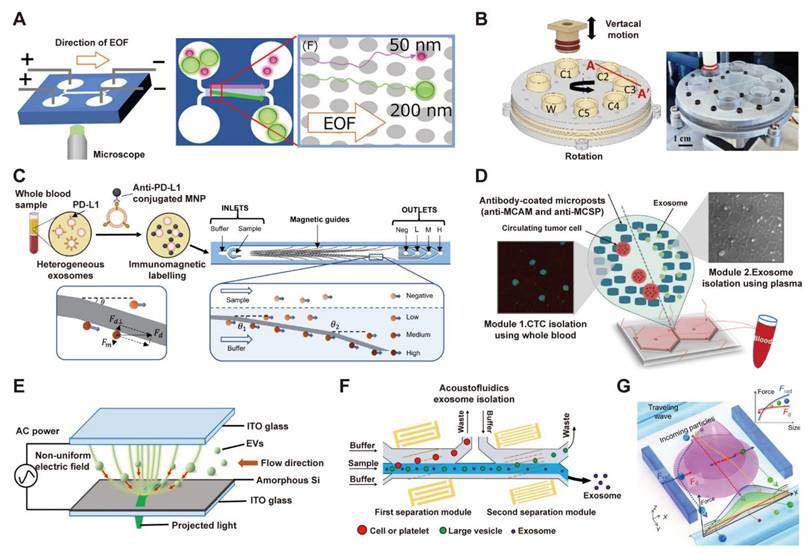 Theranostics Image
