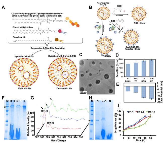 Theranostics Image