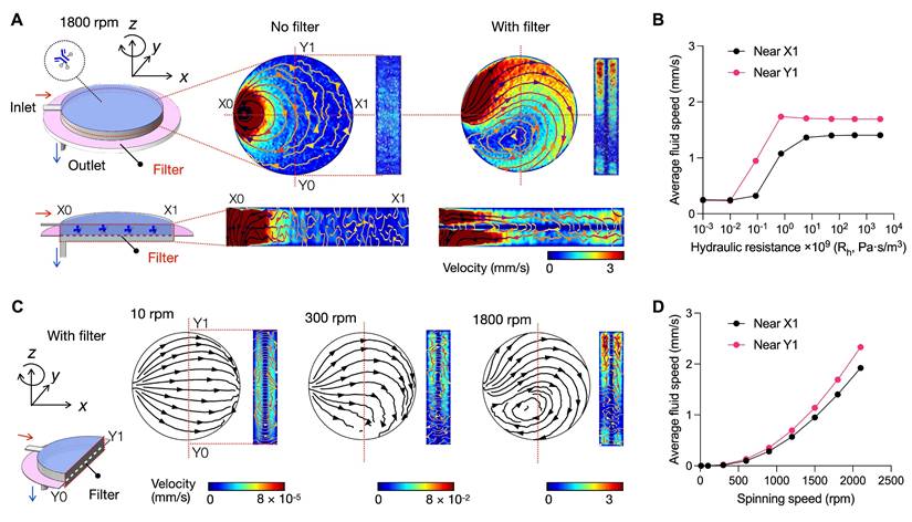 Theranostics Image