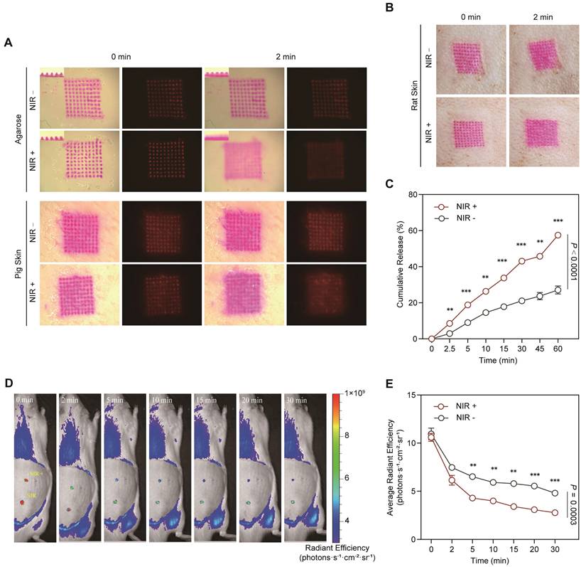 Theranostics Image