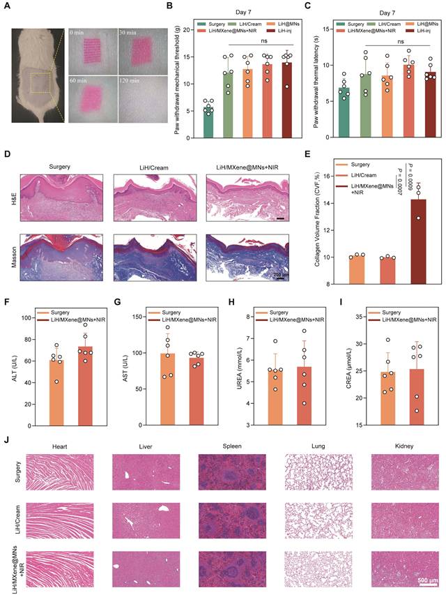 Theranostics Image