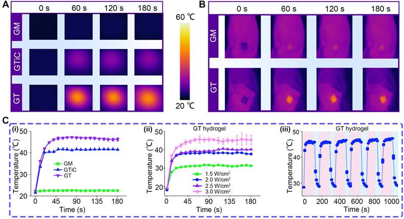 Theranostics Image