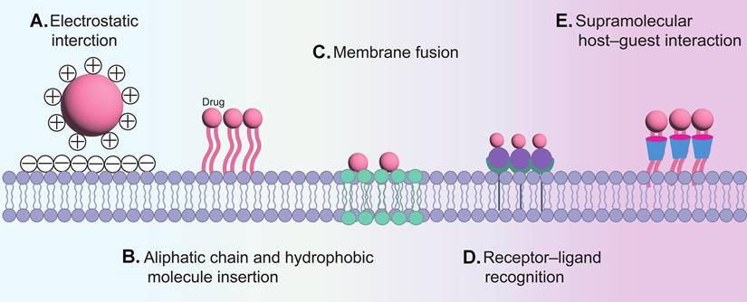 Theranostics Image