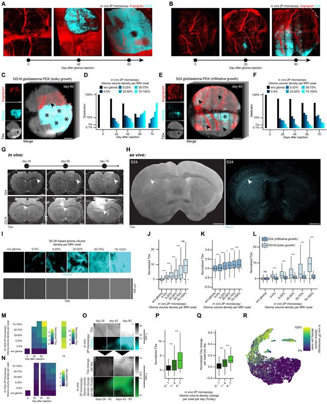 Theranostics Image