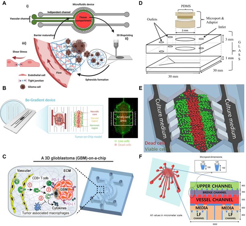 Theranostics Image