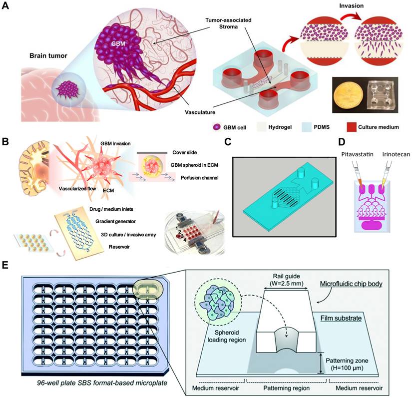 Theranostics Image