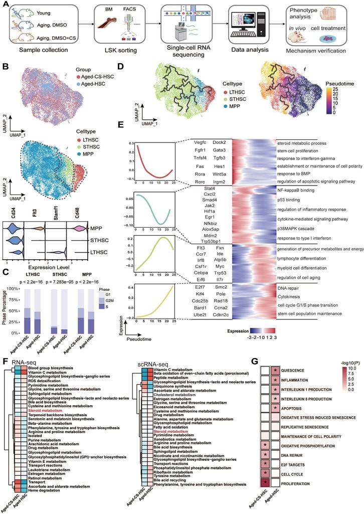 Theranostics Image
