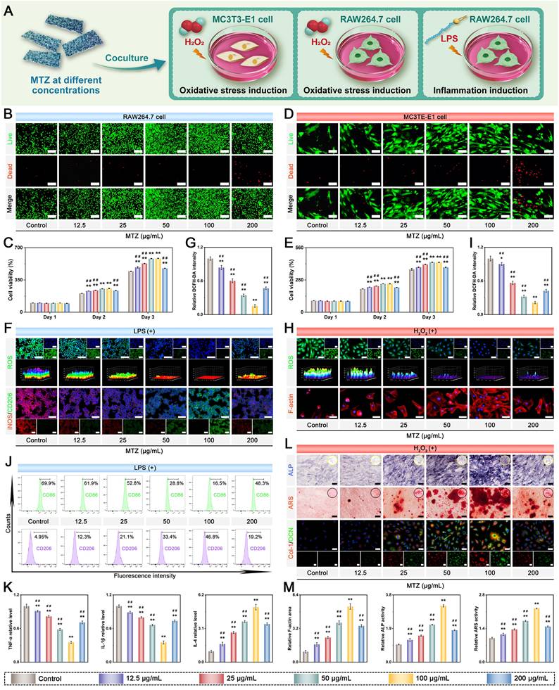 Theranostics Image