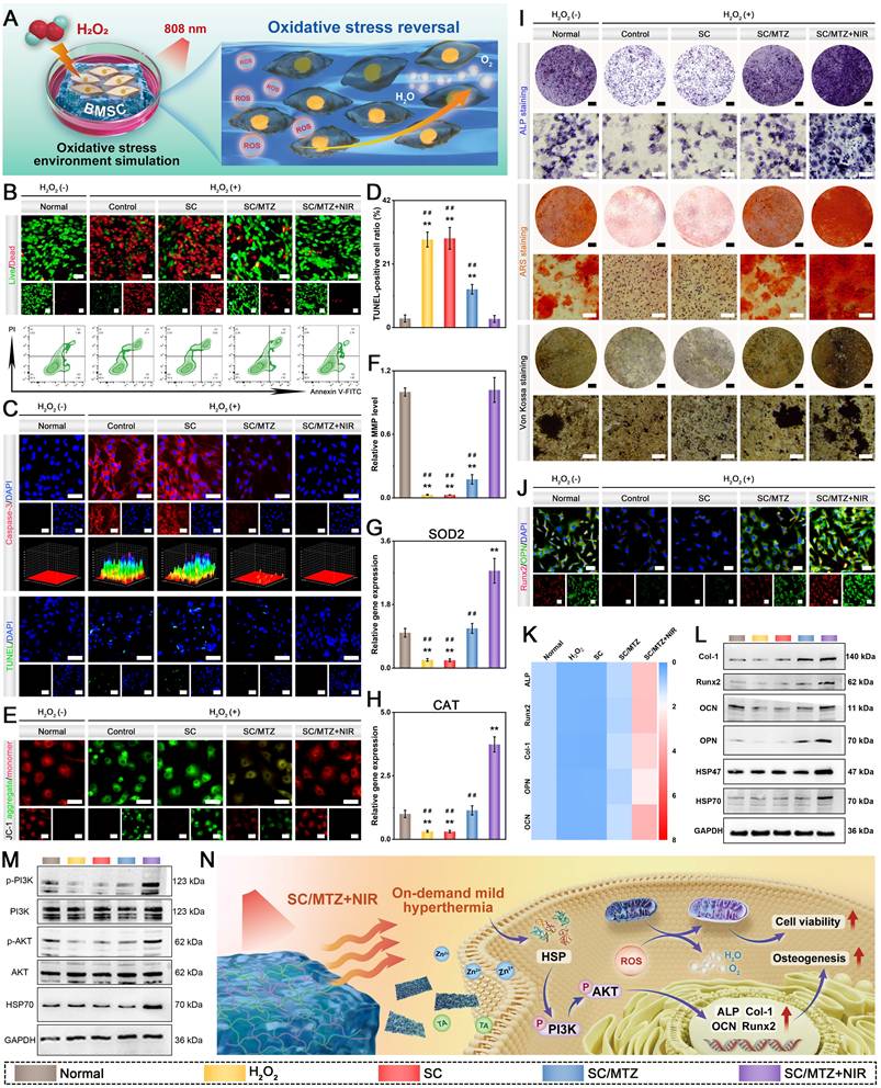 Theranostics Image