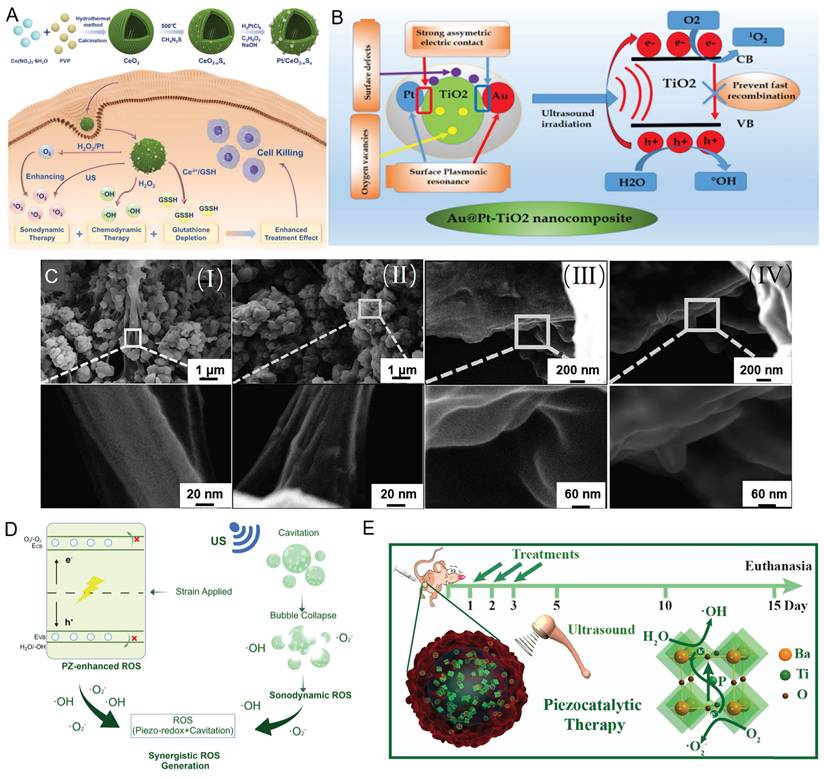 Theranostics Image