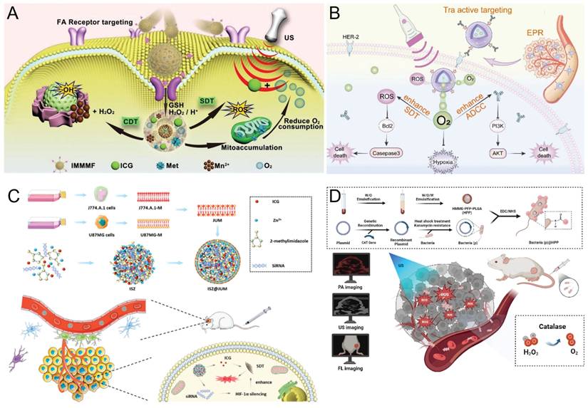 Theranostics Image