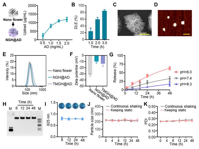 Theranostics Image