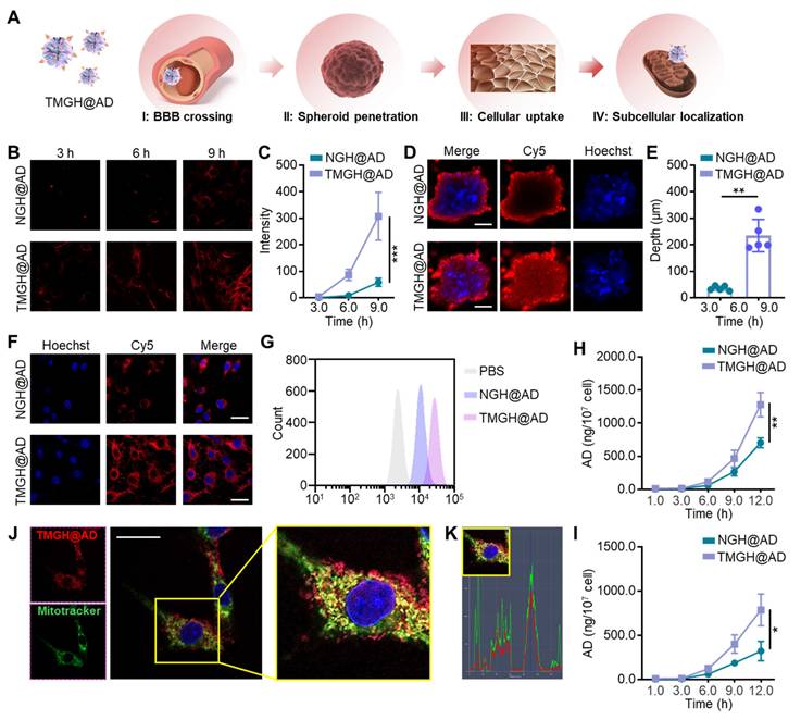 Theranostics Image