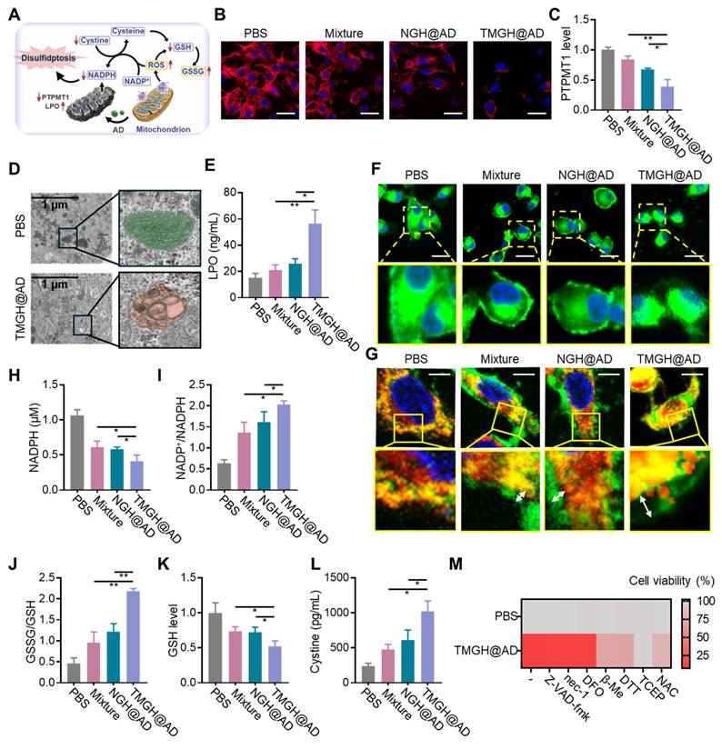 Theranostics Image