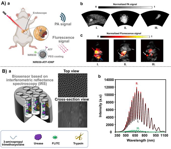 Theranostics Image