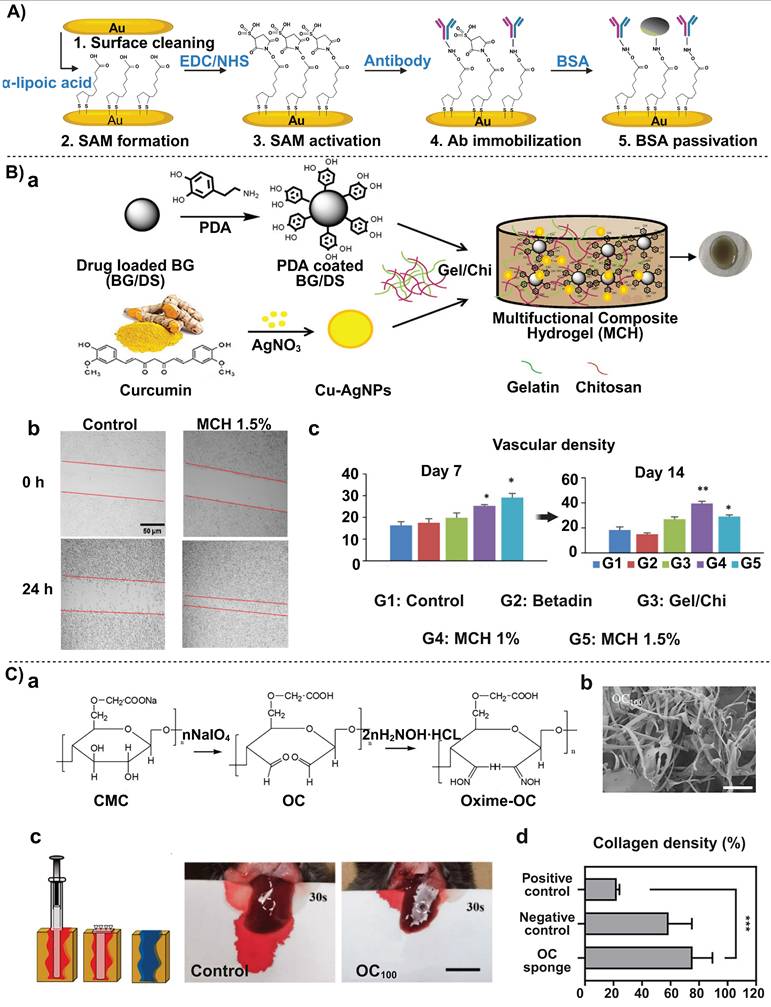Theranostics Image