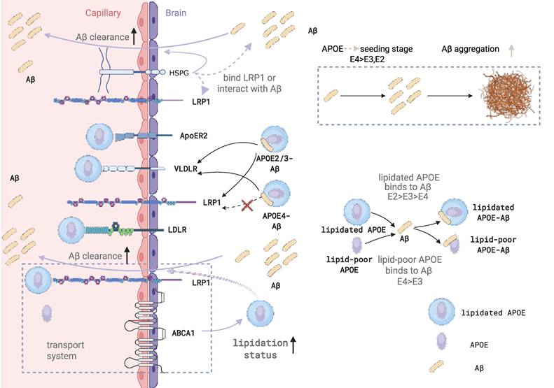 Theranostics Image