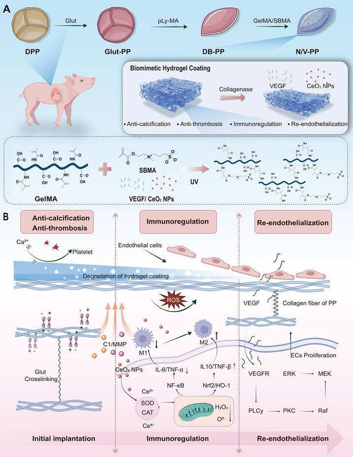 Theranostics Image
